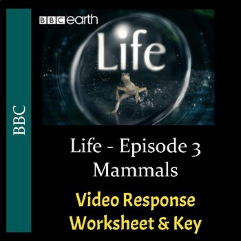 Preview of BBC's "Life" - Episode 3: Mammals - Worksheet & Key - PDF & Digital