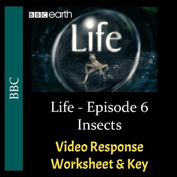 Preview of BBC's "Life" - Episode 6: Insects - Worksheet & Key - PDF & Digital
