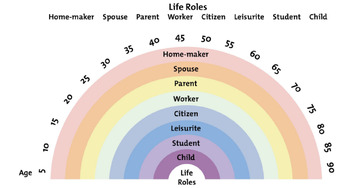 Preview of Life Roles Exercise