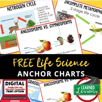 Preview of Life Science Anchor Charts, Life Science Posters, ELL Strategy, Study Guide