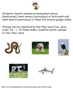 Preview of Life Science Animals