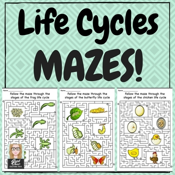 Preview of Biology & Life Science Life Cycles Fun Mazes!
