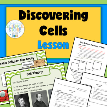 assignment discovery cells video