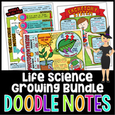 Life Science Doodle Notes Growing Bundle | Science Doodle Notes