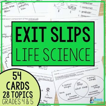 Preview of Life Science Exit Tickets | Food Webs, Ecosystems, Adaptations | Exit Slips