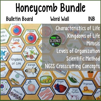 Preview of Life Science Honeycomb Pattern Bundle: Room Decor, Word Wall, and more!