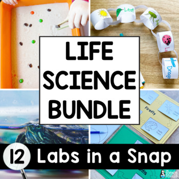 Preview of Life Science Labs in a Snap BUNDLE | Food Chain Life Cycles Activity + Worksheet