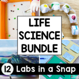 Life Science Labs BUNDLE | Food Chain, Life Cycles Activit