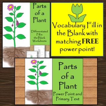 Preview of Life Science- Parts of a Plant Power Point and Matching Worksheets ASOL 5S-LPS1a