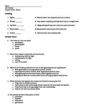 Life Science Plant Test by East Coast Math and Science | TPT