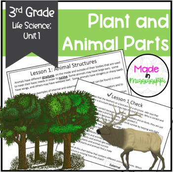 Plants and Animals | Internal and External Structures | Life Science | NGSS