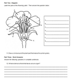 5th Grade Life Science - Plants Assessment