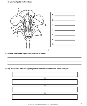 Preview of 5th Grade Life Science - Plants Research/Study Guide