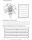 5th Grade Life Science - Plants Research/Study Guide