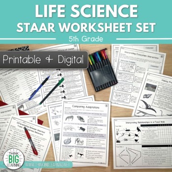 5th grade science worksheets teaching resources tpt