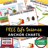 Life Science Anchor Charts, Life Science Posters, ELL Stra