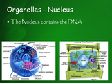 Life Science Units - 8 Units (An entire school years worth)