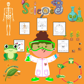 Preview of Life Science Vocabulary Worksheets | Insect Word Search |Skeletal System