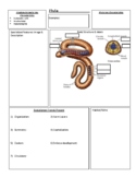 Life Sciences (Biology 11) Guided Phylum Annelida Notes