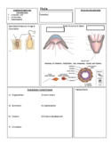 Life Sciences (Biology 11) Guided Phylum Cnidaria Notes