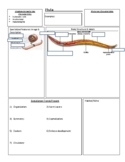 Life Sciences (Biology 11) Guided Phylum Nematoda Notes