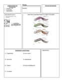 Life Sciences (Biology 11) Guided Phylum Platyhelminthes