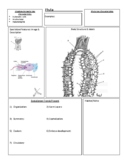 Life Sciences (Biology 11) Guided Phylum Porifera Notes