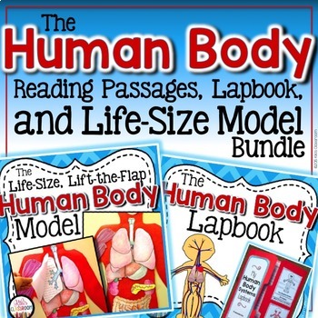 Preview of Life-Size Human Body Project Bundle: Human Body Systems w/ Digestive System