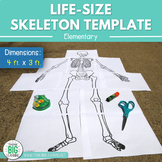 Life-Size Skeleton Template