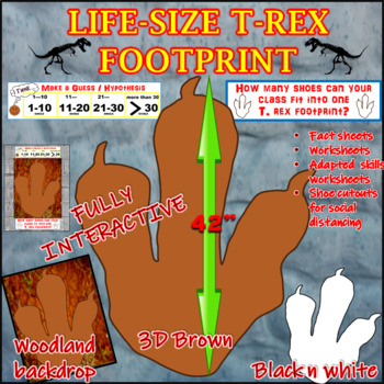 Preview of Life-Size T-Rex Dinosaur Footprint/Differentiated/Scientific Method / Adapted