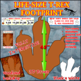 Life-Size T-Rex Dinosaur Footprint/Differentiated/Scientif