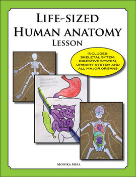 Preview of Life Sized Human Anatomy Lesson including Skeletal and Digestive Systems