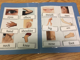 Life Skills: Body Part Vocabulary (word to picture match) File Folder Game