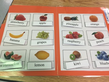 Life Skills: Fruit Vocabulary Match (word to picture) file folder game
