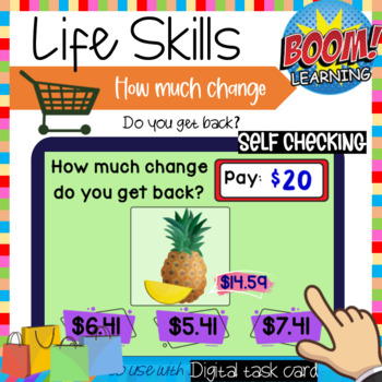 Preview of Life Skills: How Much Change Money Great for Touching and Counting Up to $20.00