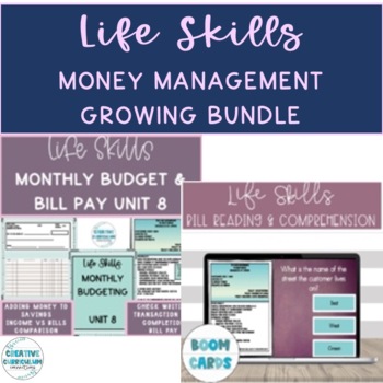 Preview of Life Skills Money Management Banking, Budget, Bills, Pay Stubs Bundle