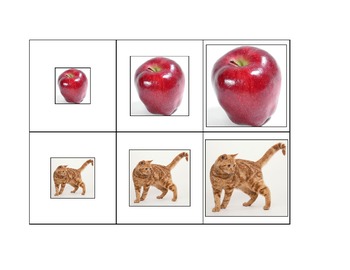 Preview of Life Skills: Smallest to Biggest (Sequencing)