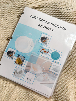 Preview of Life Skills Sorting Activity/ ADL File Folder Activity