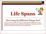 Life Spans of Animals, Humans Insects Powerpoint Math Activity