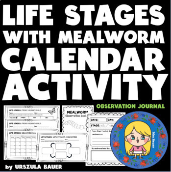 Preview of Life Stages | Mealworm Calendar Activity, Life Cycle & Journal | PRINTABLES