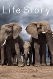 Life Story - 6 Episode Bundle Movie Guides - David Attenbo