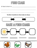 Life Systems - Gr4 - Food Chain Activity
