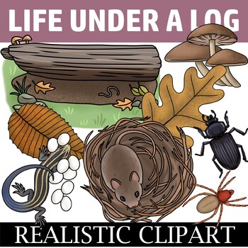 Preview of Life Under a Log (Microhabitat Clip Art)