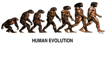 Preview of Human Evolution