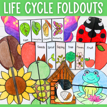 Preview of 10 Plant animal insect life cycles foldable sequencing activities cut and paste