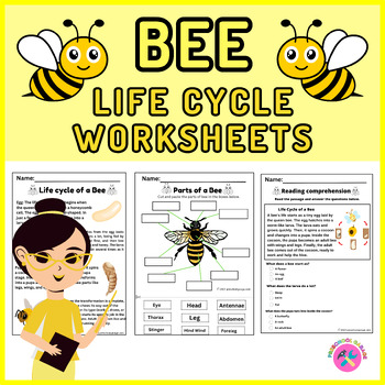 Preview of Life cycle of a Bee Packet