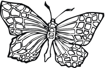Preview of Life cycle of a Butterfly