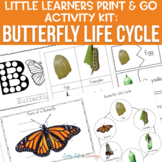 Life cycle of a Butterfly Worksheets