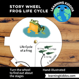 Life cycle of frogs - story wheel - for classes and homeschooling