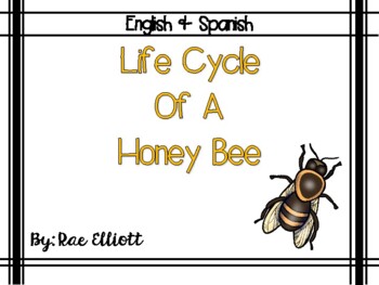 Bee Life Cycle Chart